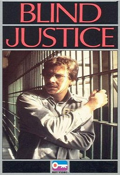 Blind Justice (1994) - Movies to Watch If You Like Big Kill (2019)